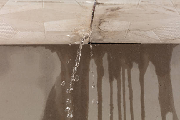 Professional Burst Pipe Cleanup technician working in Oakville, MO